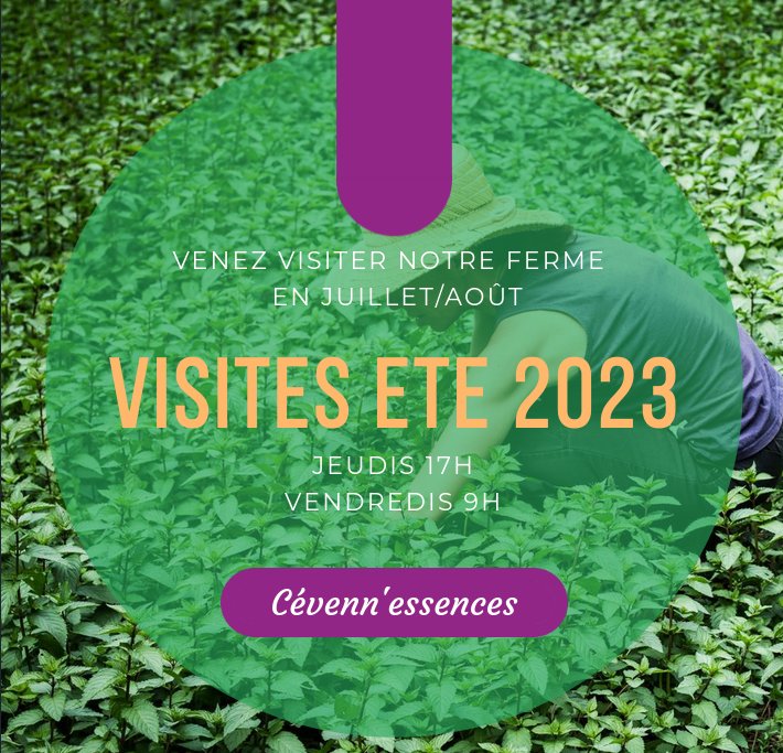 Visites de la ferme été 2023