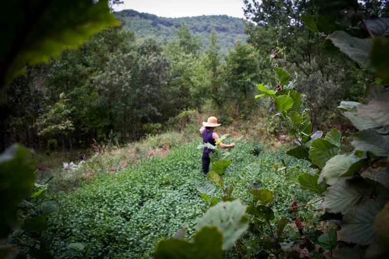 Crédit Anna Saulle